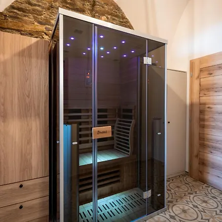 Apartmán U Hanse Bocka Jáchymov